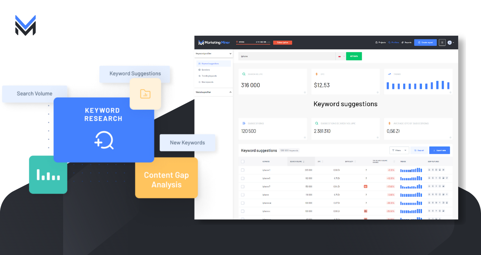 screenshot of Marketing Miner
